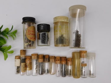 Vintage Insect Specimen Vials With Cork Stoppers Watchmaker Watchmaking Tools