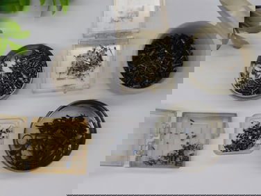 Vintage Watch Parts and Screws in Containers Watchmaker Watchmaking Tools