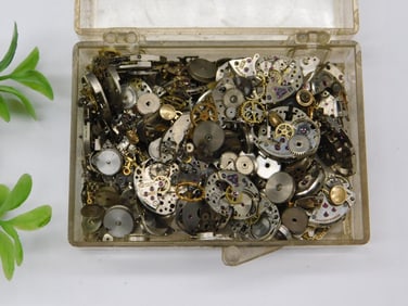 Vintage Watch Parts in Plastic Container Watchmaker Watchmaking Tools