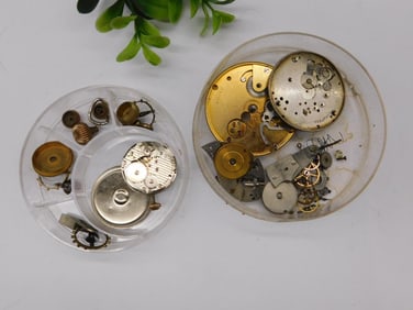 Vintage Watch Components in Plastic Containers Watchmaker Watchmaking Tools