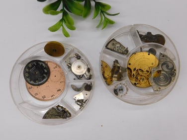 Pocket Watch Movement Parts in Plastic Cases Watchmaker Watchmaking Tools
