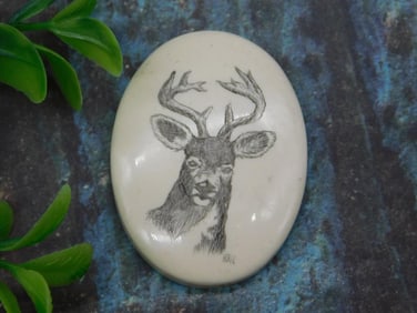 Scrimshaw Cabochon with Deer Etching