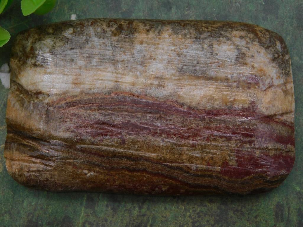 Rock Stone Lapidary Specimen: Rock Stone Lapidary Specimen