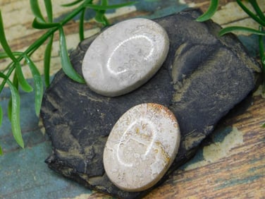 JEWELRY SALE! ROCK STONE LAPIDARY SPECIMEN