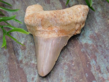 JEWELRY SALE! ROCK STONE LAPIDARY SPECIMEN