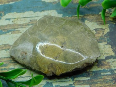 JEWELRY SALE! ROCK STONE LAPIDARY SPECIMEN