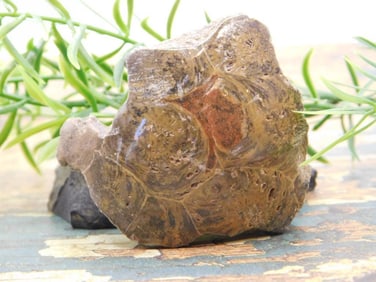 JEWELRY SALE! ROCK STONE LAPIDARY SPECIMEN