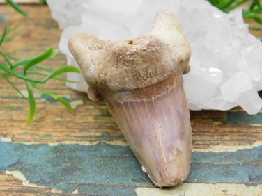 JEWELRY SALE! ROCK STONE LAPIDARY SPECIMEN