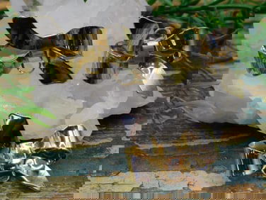 JEWELRY SALE! ROCK STONE LAPIDARY SPECIMEN