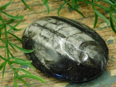 JEWELRY SALE! ROCK STONE LAPIDARY SPECIMEN