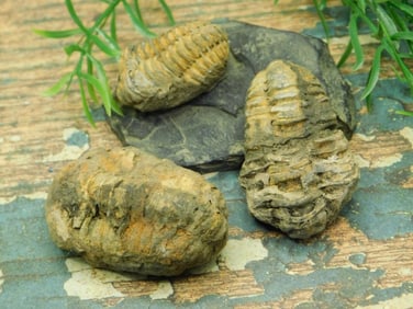 JEWELRY SALE! ROCK STONE LAPIDARY SPECIMEN