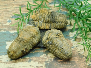 JEWELRY SALE! ROCK STONE LAPIDARY SPECIMEN