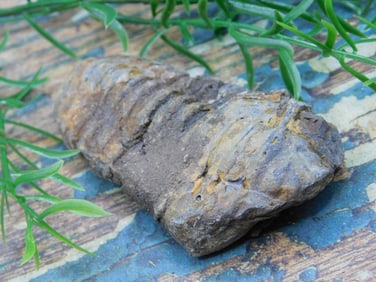 JEWELRY SALE! ROCK STONE LAPIDARY SPECIMEN