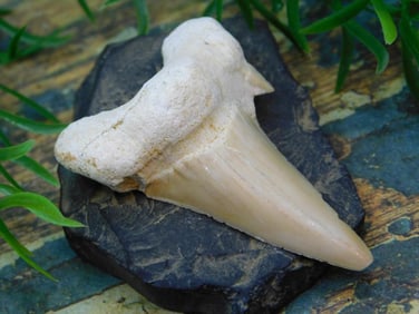 JEWELRY SALE! ROCK STONE LAPIDARY SPECIMEN