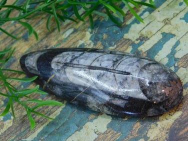 JEWELRY SALE! ROCK STONE LAPIDARY SPECIMEN