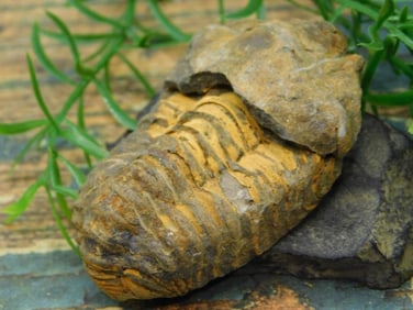 JEWELRY SALE! ROCK STONE LAPIDARY SPECIMEN