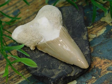 JEWELRY SALE! ROCK STONE LAPIDARY SPECIMEN