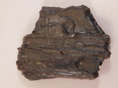 STROMATOLITE ROCK STONE LAPIDARY SPECIMEN
