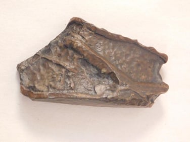 STROMATOLITE ROCK STONE LAPIDARY SPECIMEN