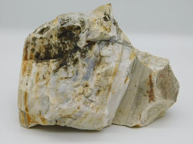 ROCK STONE LAPIDARY SPECIMEN