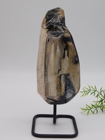 3 POUND PETRIFIED WOOD DISPLAY ROCK STONE LAPIDARY SPECIMEN