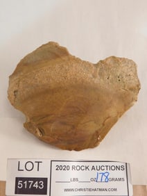 ROCK STONE LAPIDARY SPECIMEN