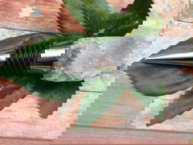 GENUINE STONE BOTTLE STOPPER ROCK STONE LAPIDARY SPECIMEN