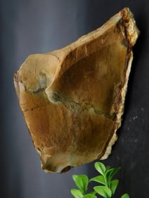 JASPER ROCK STONE LAPIDARY SPECIMEN