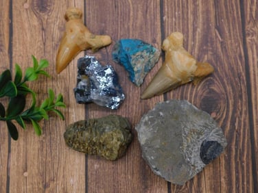 MIXED LOT ROCK STONE LAPIDARY SPECIMEN