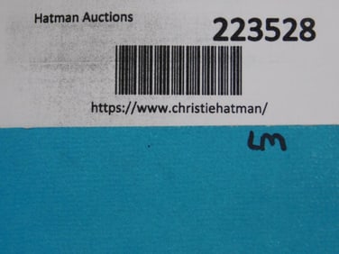 SHARK TEETH PENDANTS ROCK STONE LAPIDARY SPECIMEN