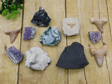 MIXED LOT ROCK STONE LAPIDARY SPECIMEN