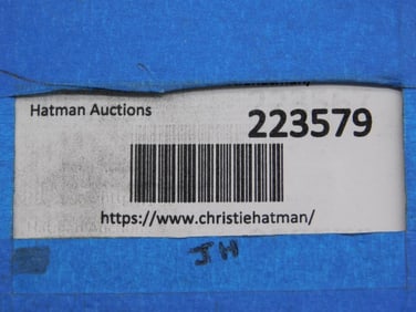 SHARK TOOTH IN MATRIX ROCK STONE LAPIDARY SPECIMEN