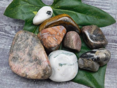 MIXED AGATE LOT ROCK STONE LAPIDARY SPECIMEN