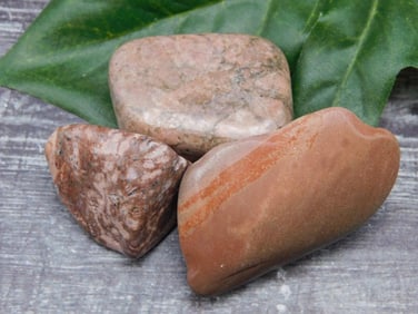 MIXED AGATE LOT ROCK STONE LAPIDARY SPECIMEN