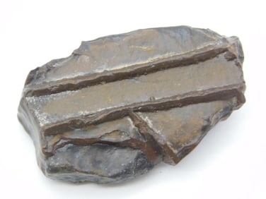 STROMATOLITE ROCK STONE LAPIDARY SPECIMEN
