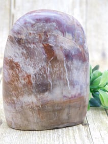 PETRIFIED WOOD ROCK STONE LAPIDARY SPECIMEN