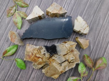 PETRIFIED WOOD SLAB ROCK STONE LAPIDARY SPECIMEN