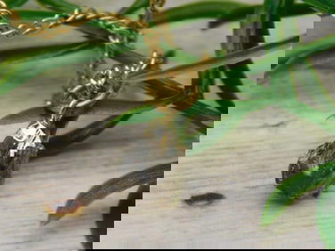 SMOKEY QUARTZ PENDANT NECKLACE ROCK STONE LAPIDARY SPECIMEN