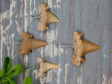 SHARK TEETH PENDANTS ROCK STONE LAPIDARY SPECIMEN