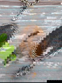 COW HIDE PENDANT ON CHAIN NECKLACE