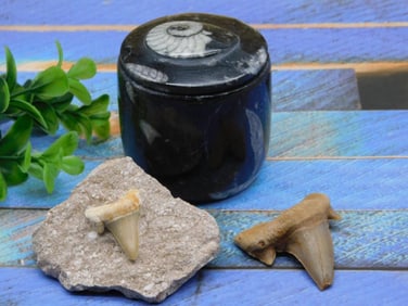 MIXED LOT ROCK STONE LAPIDARY SPECIMEN