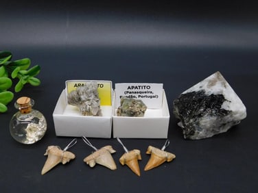 MIXED LOT ROCK STONE LAPIDARY SPECIMEN
