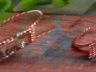 STONE RING ROCK STONE LAPIDARY SPECIMEN