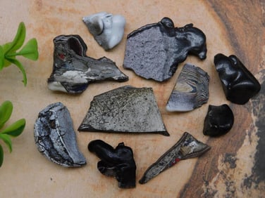 FORDITE MOTOR CITY AGATE