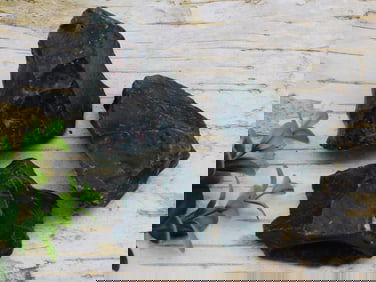 BLOODSTONE ROCK STONE LAPIDARY SPECIMEN