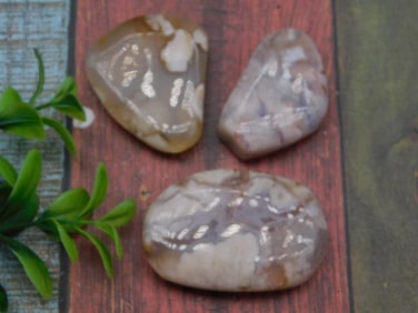 HATMANS FLOWER PETAL AGATE ROCK STONE LAPIDARY SPECIMEN