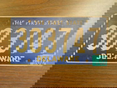 Vintage Antique License Plate US Delaware Collectible 204