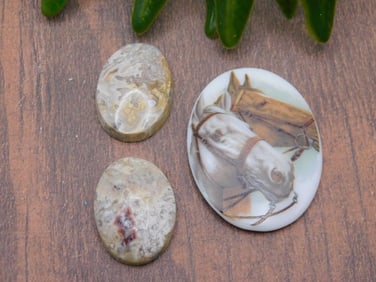 CABOCHONS ROCK STONE LAPIDARY SPECIMEN