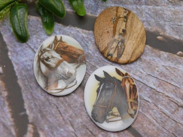 CABOCHONS ROCK STONE LAPIDARY SPECIMEN