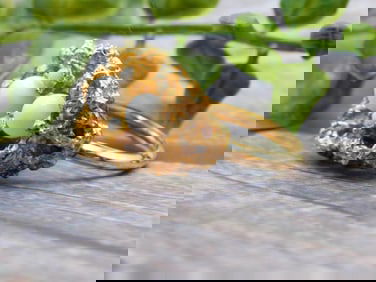 GENUINE STONE RING ROCK STONE LAPIDARY SPECIMEN